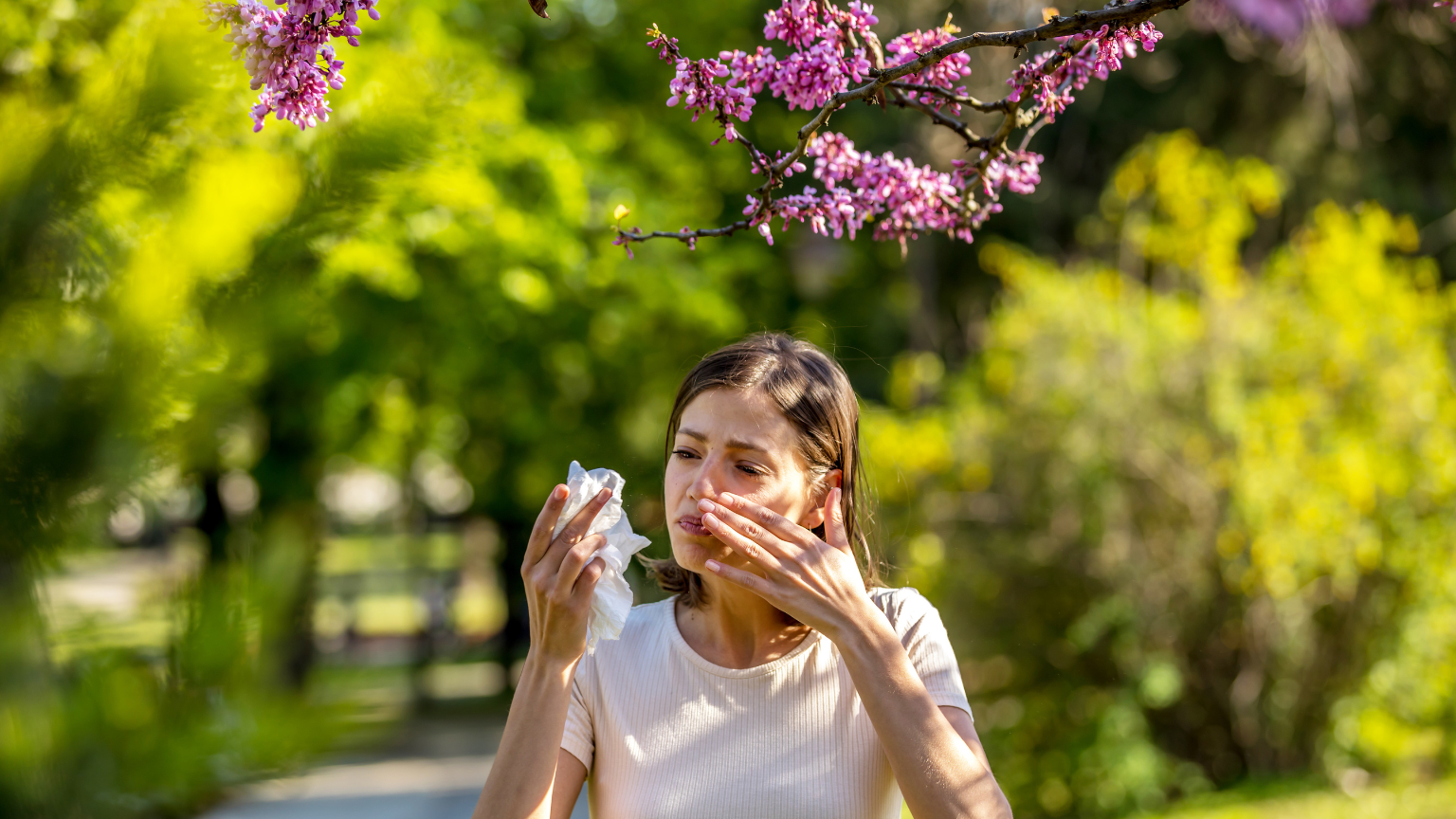 Аллергия на пыльцу, ее последствия и природные средства